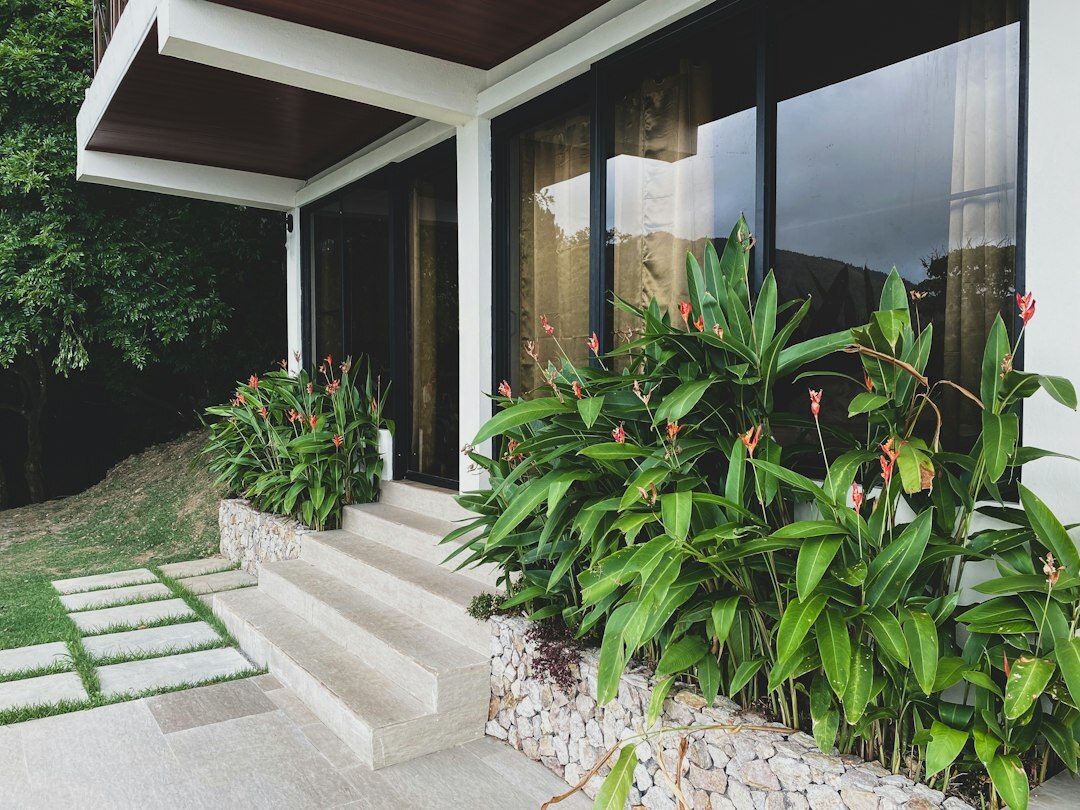 celebrity outdoor patio